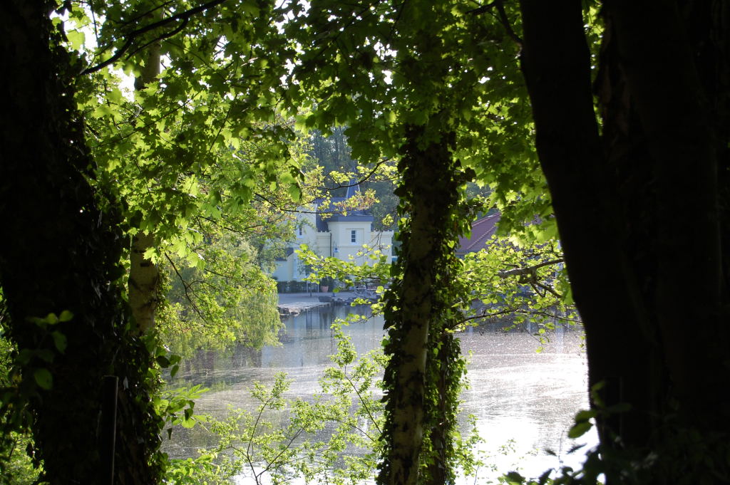 DSC 49160001