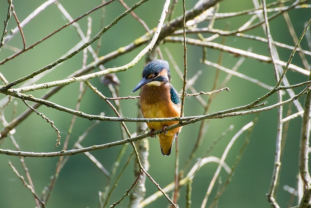 DSC 4928 01