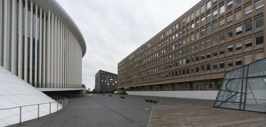 DSC 4931