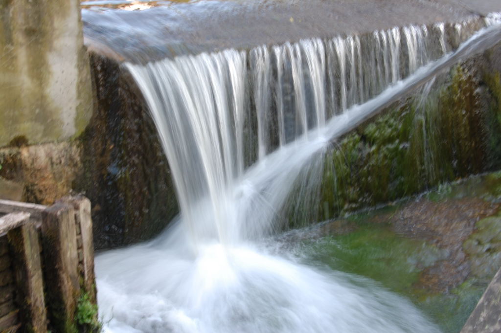 DSC 49760001