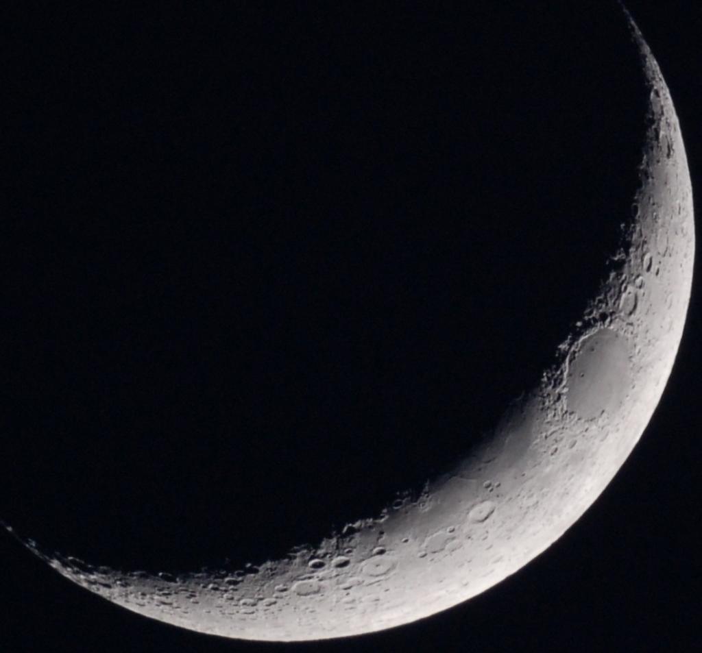 DSC 4978 crop