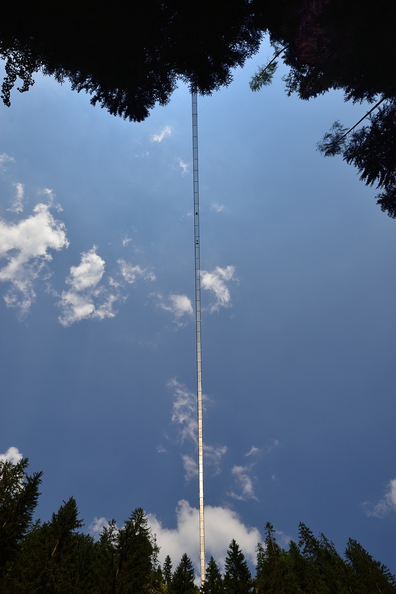 DSC 4980 C