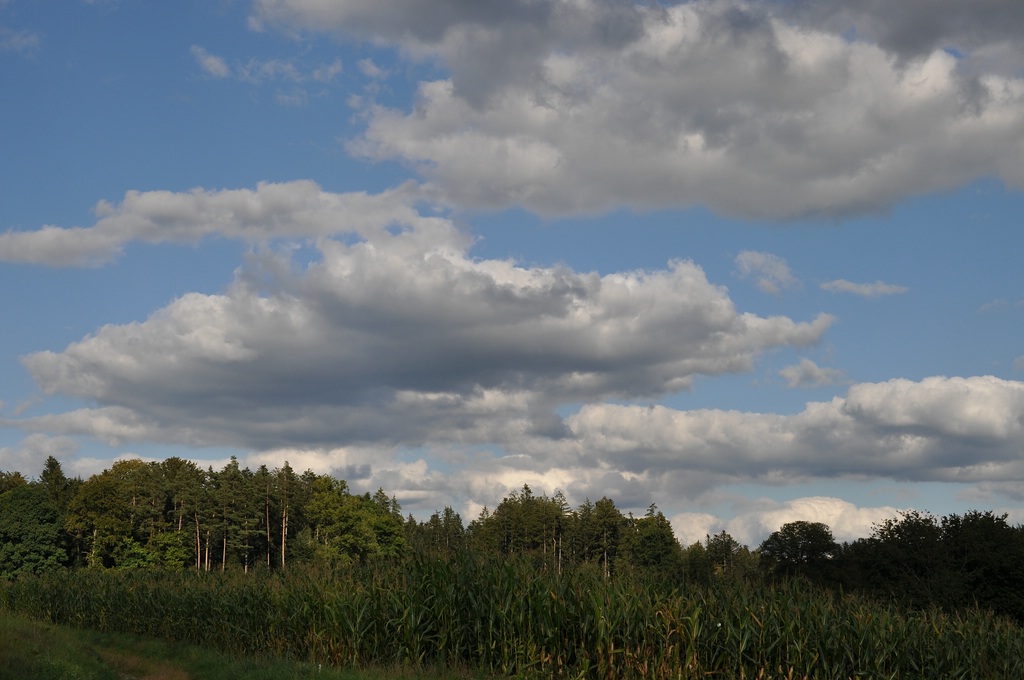 DSC 4991 mic40 k

Kamera-Modell: NIKON D90
Brennweite: 40.0mm (KB-Format entsprechend: 60mm)
Blende: f/8.0
Belichtungszeit: 0.0010s (1/1000)
ISO: 200