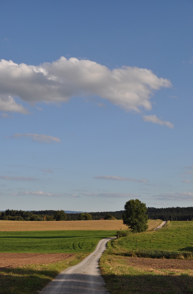 DSC 5009 mic40 k

Kamera-Modell: NIKON D90
Brennweite: 40.0mm (KB-Format entsprechend: 60mm)
Blende: f/5.6
Belichtungszeit: 0.0006s (1/1600)
ISO: 200