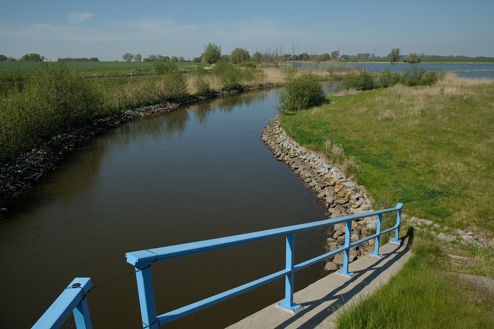 DSC 5013a
