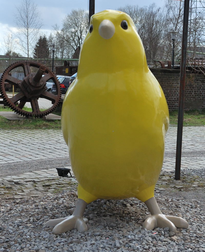 DSC 5022
