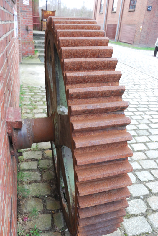 DSC 5026