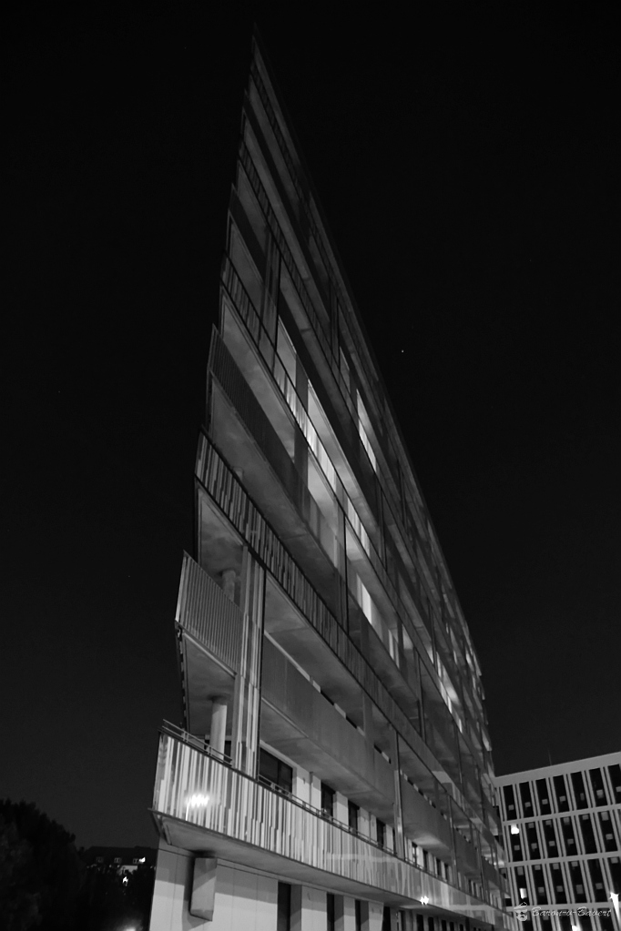 DSC 5028sw