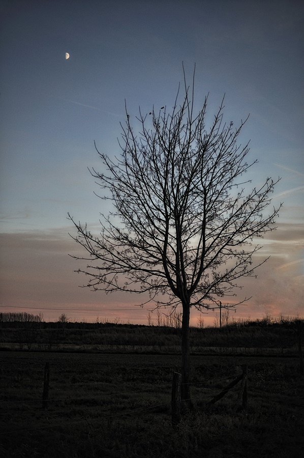 DSC 5037nff