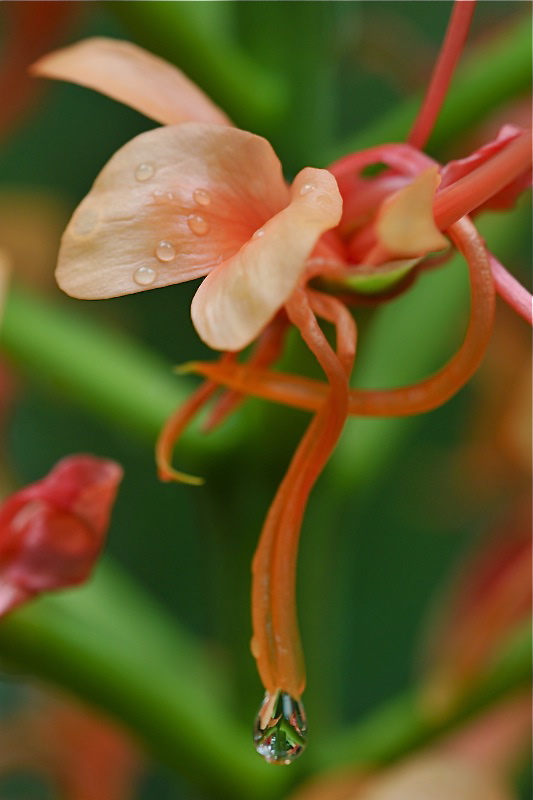 DSC 5058