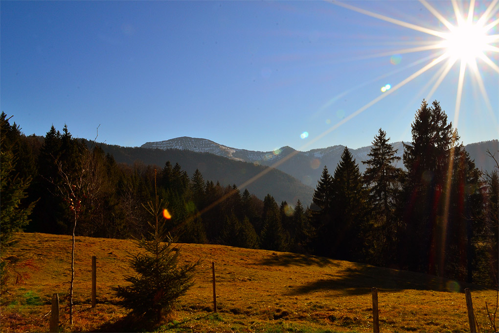 DSC 5071 Sonne