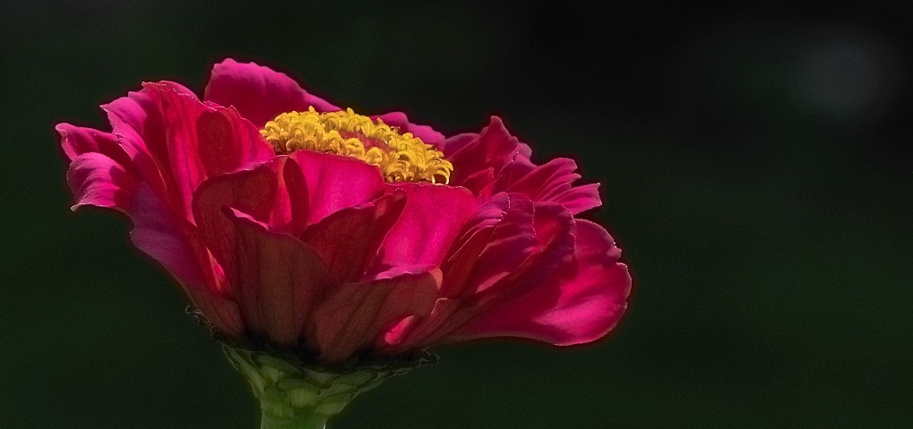 DSC 5093 029 X