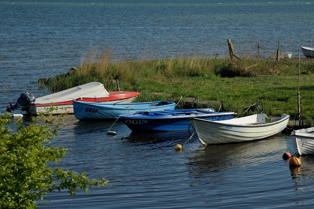 DSC 5100a