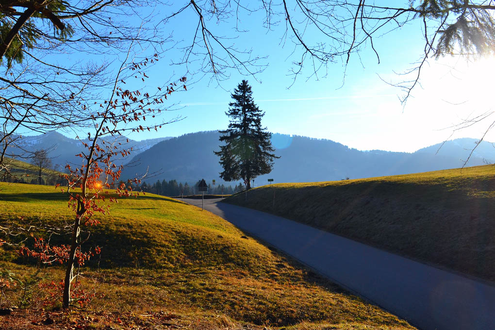 DSC 5123 Hochgrat