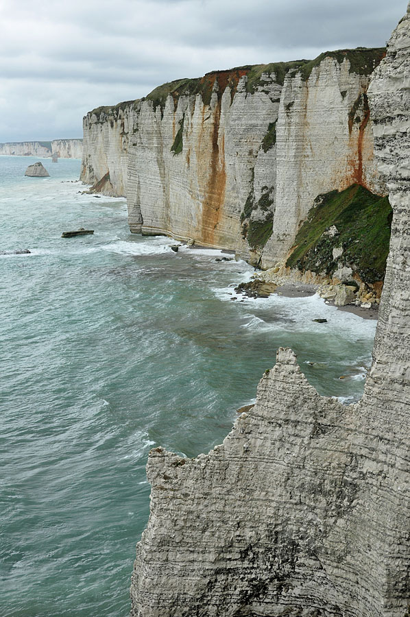 DSC 5131