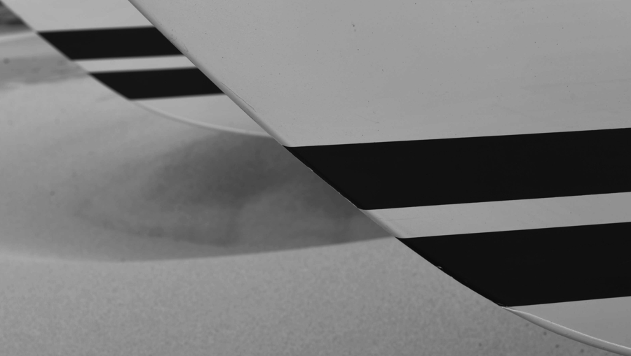 DSC 5215 web crop bw