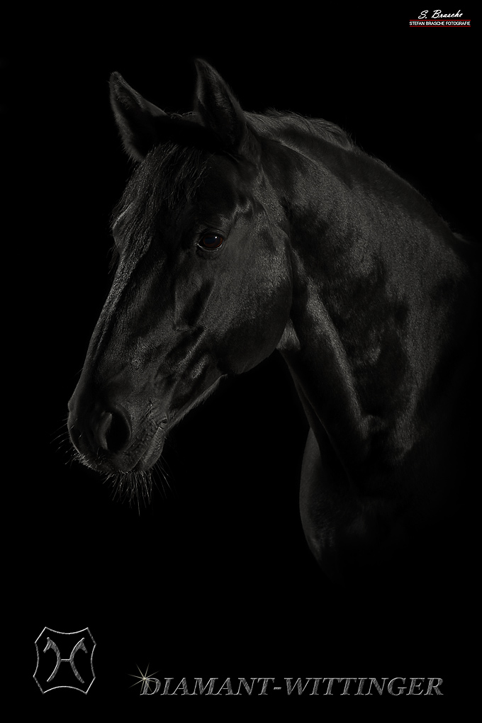 DSC 5224 NFF
