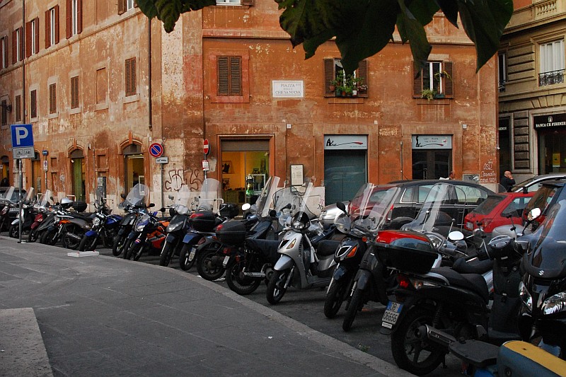 DSC 5229
