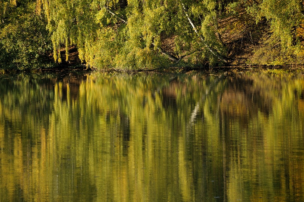 DSC 5231a