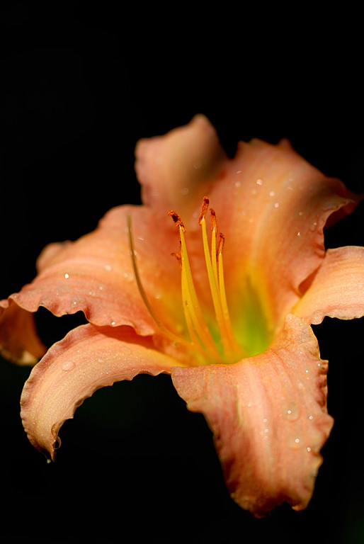 DSC 5247