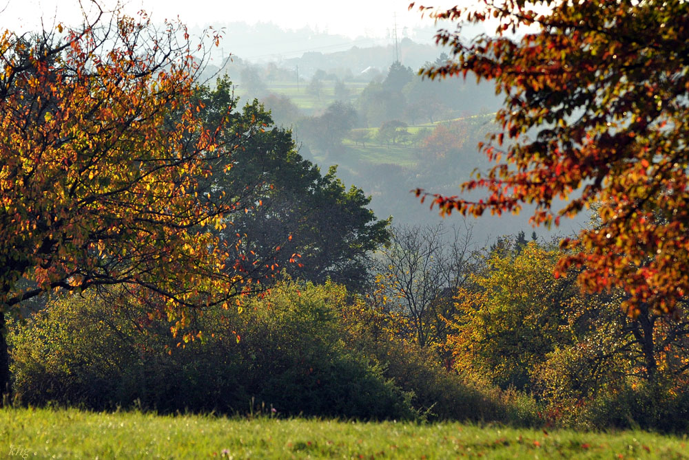 DSC 5259 Herbst