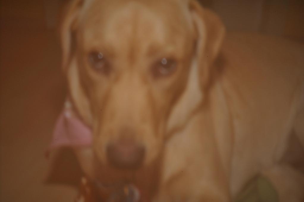 DSC 5274