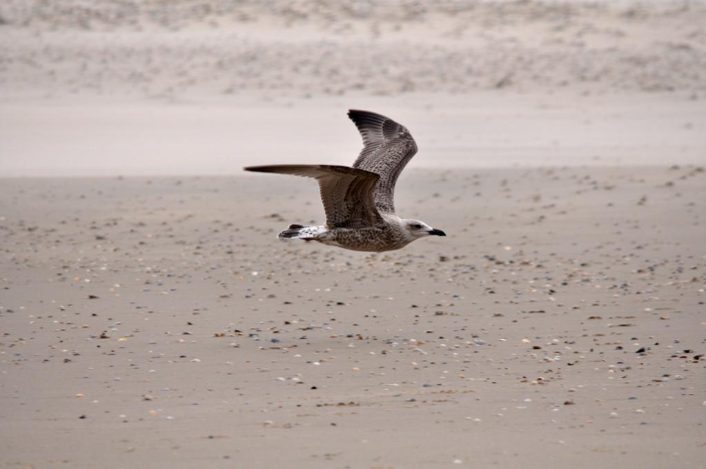 DSC 5283ab