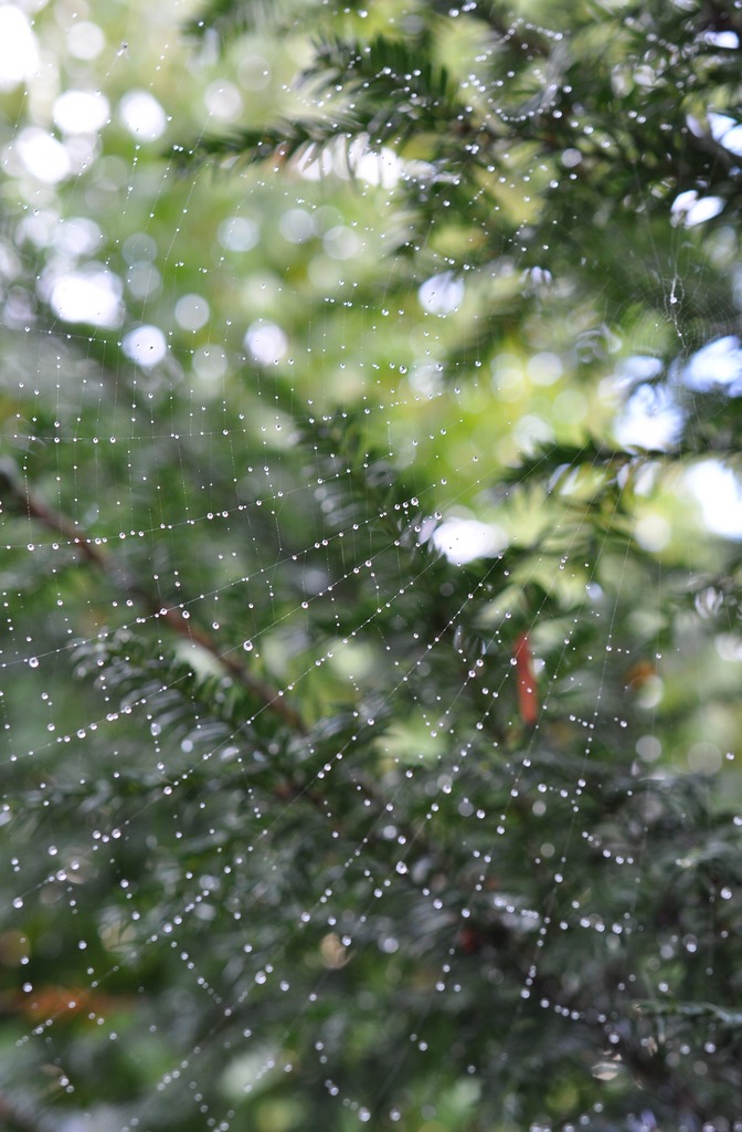 DSC 5287 mic40 k

Kamera-Modell: NIKON D90
Brennweite: 40.0mm (KB-Format entsprechend: 60mm)
Blende: f/5.6
Belichtungszeit: 0.025s (1/40)
ISO: 400