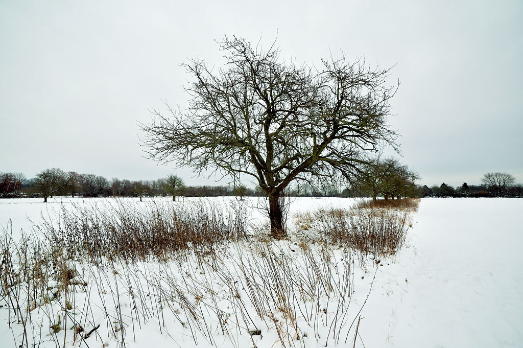 DSC 5295
D700, Samyang 14mm f2.8 ED AS IF UMC