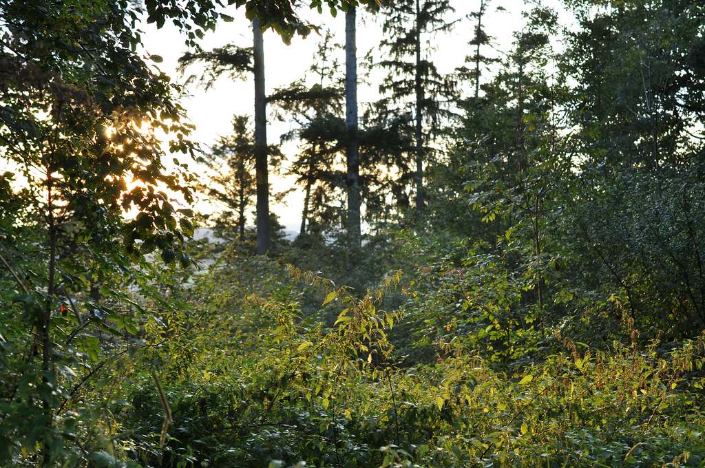 DSC 5312 mic40 k

Kamera-Modell: NIKON D90
Brennweite: 40.0mm (KB-Format entsprechend: 60mm)
Blende: f/5.6
Belichtungszeit: 0.017s (1/60)
ISO: 200