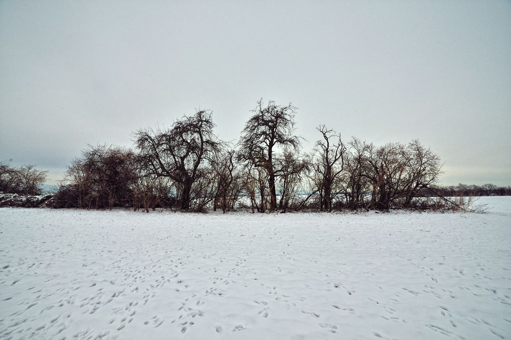 DSC 5325
D700, Samyang 14mm f2.8 ED AS IF UMC