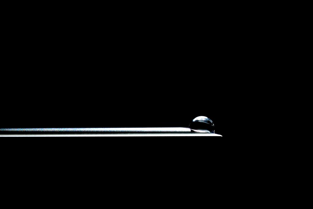 DSC 5331 20091003 3445 1