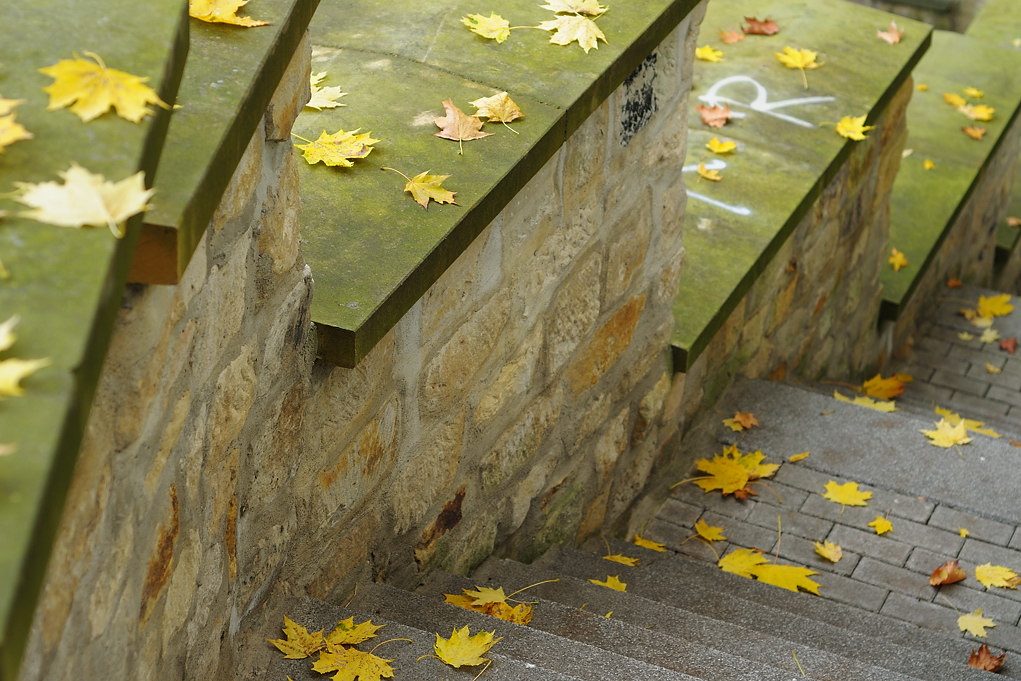 DSC 5337