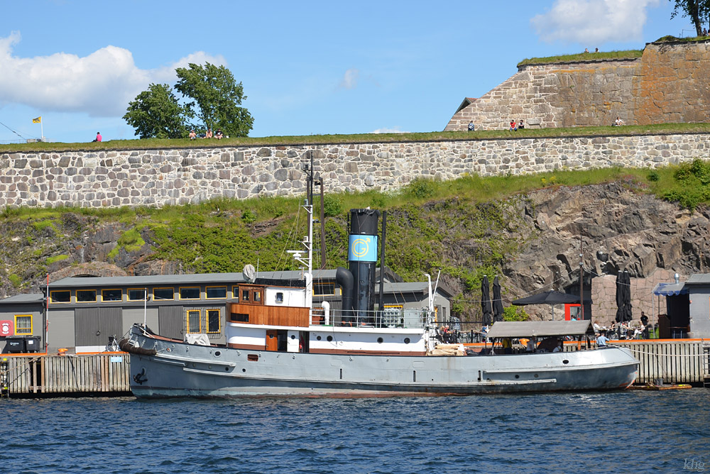 DSC 5371 Schleppdampfer