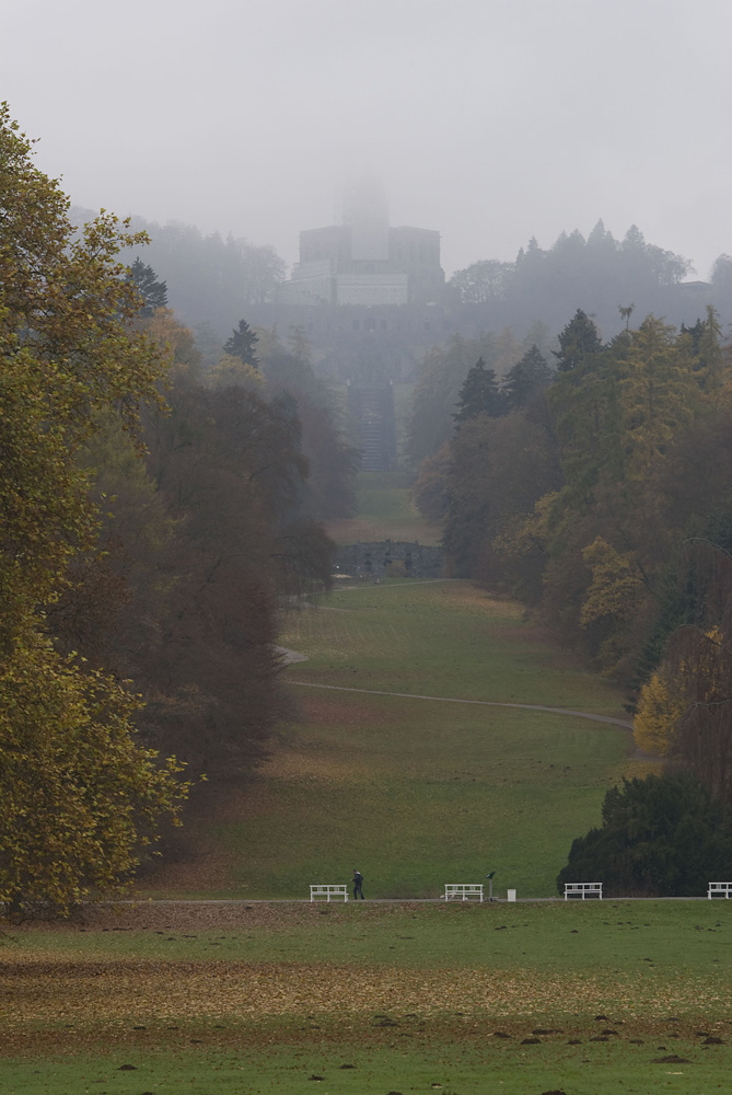 DSC 5426R 1000px