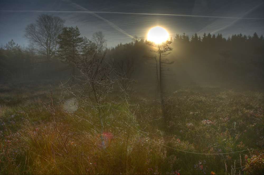 DSC 5480 1 2 tonemapped 01
