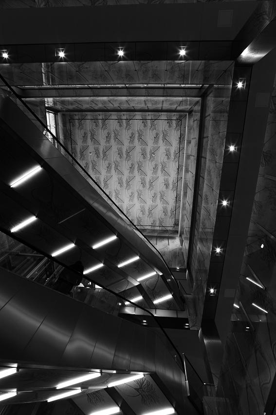 DSC 5486