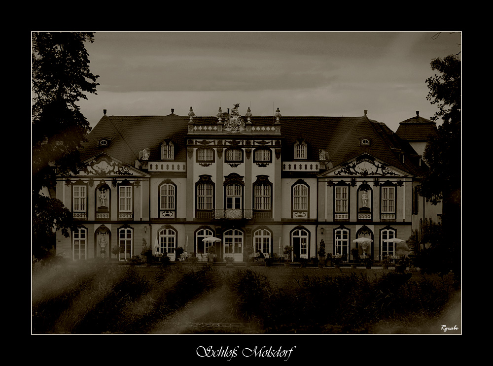 DSC 5502