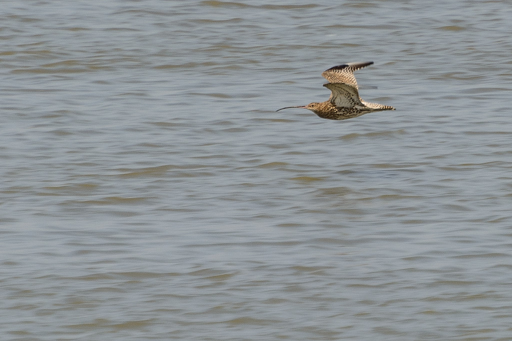 DSC 5512 2x
