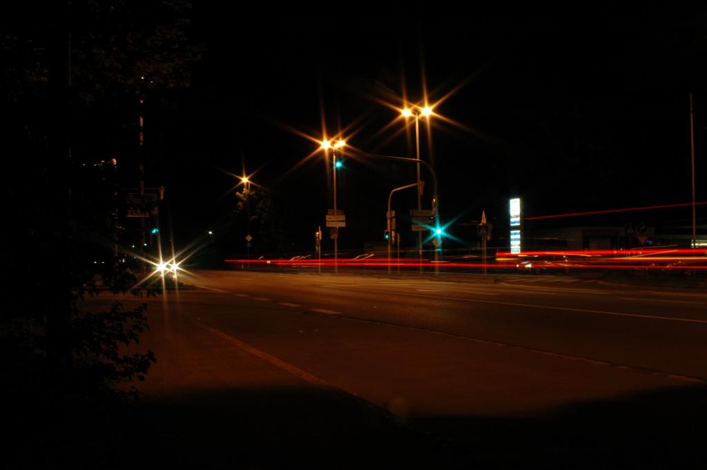 DSC 5526