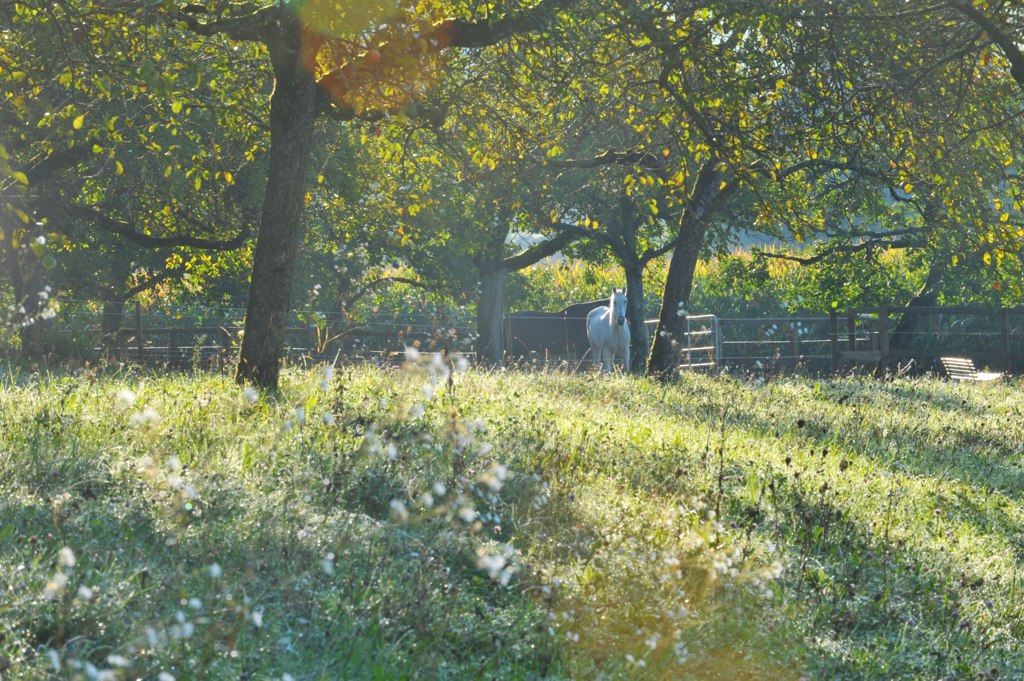 DSC 5535 web