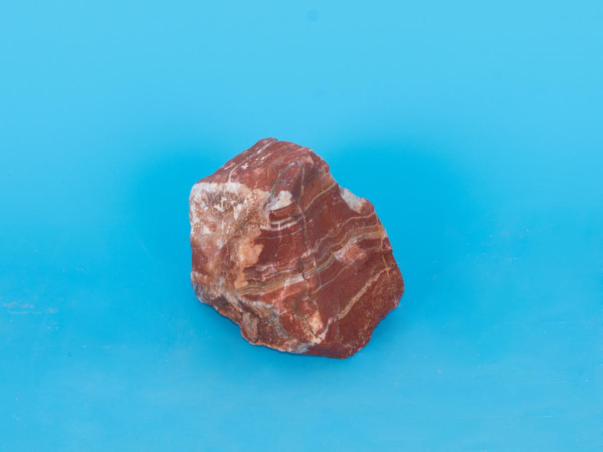 DSC 5535
