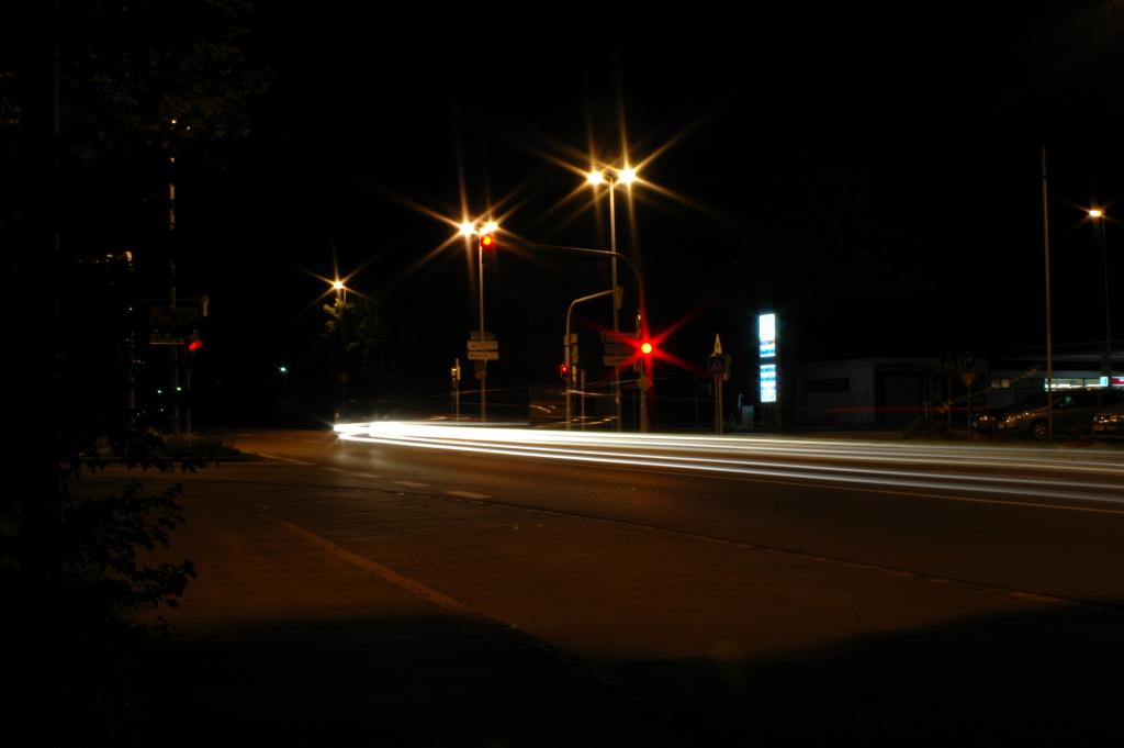 DSC 5555