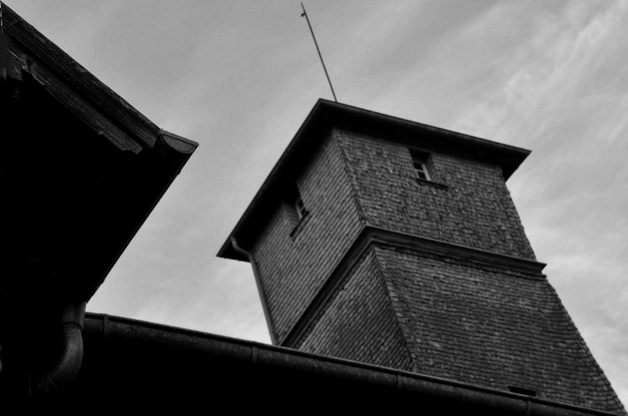 DSC 5564 web crop bw