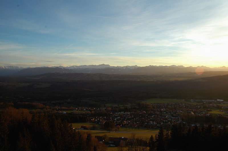 DSC 5594
