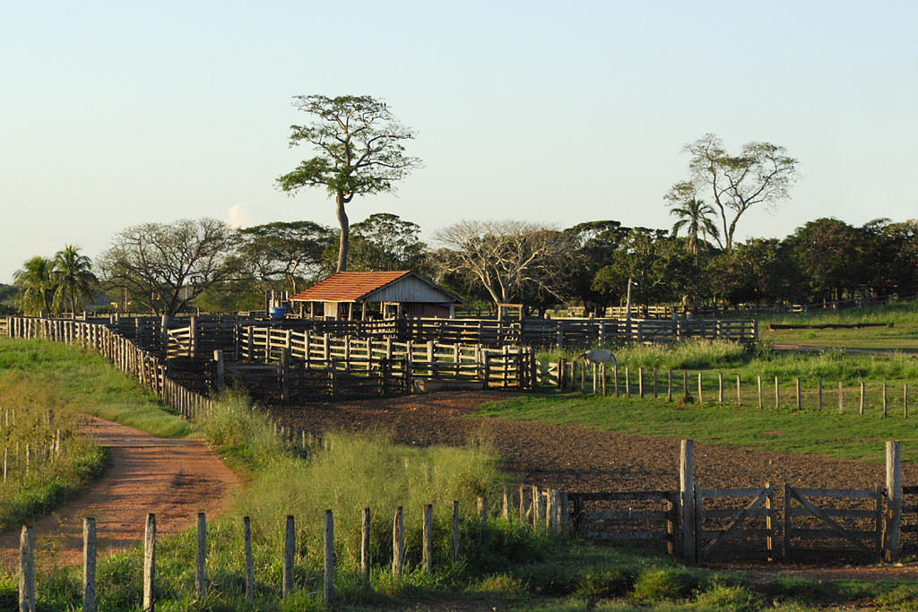 DSC 5636