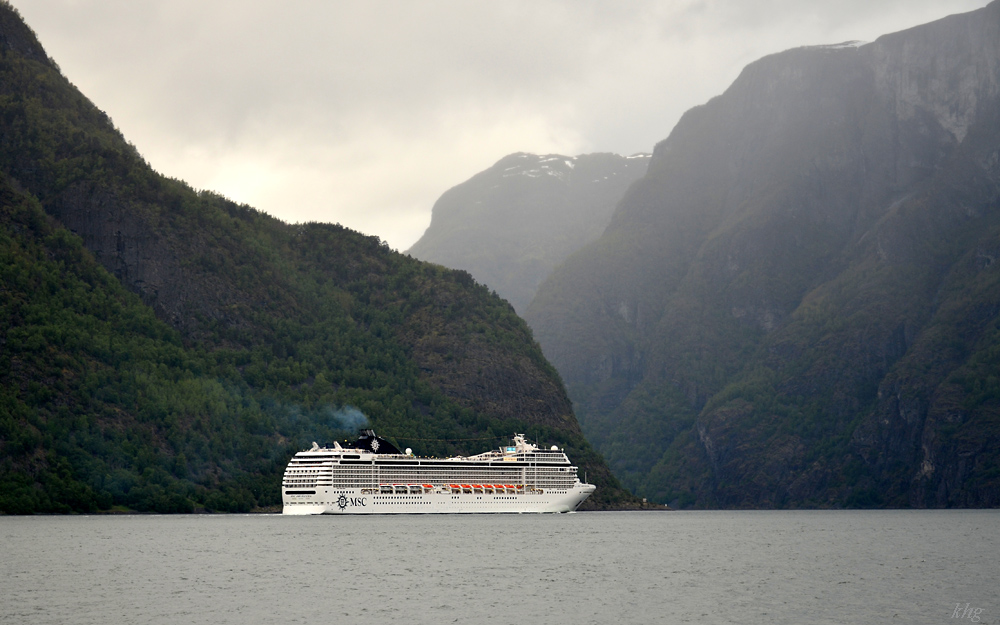 DSC 5650 Schiff