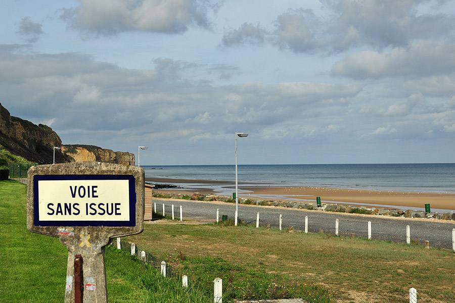 DSC 5654