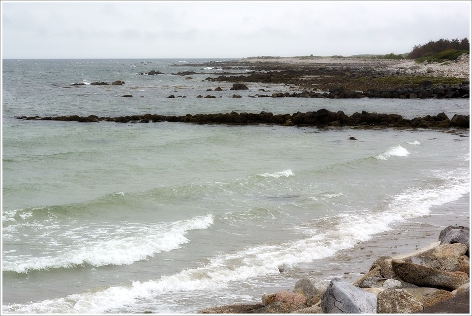 DSC 5662