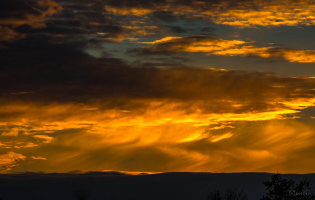 DSC 5673